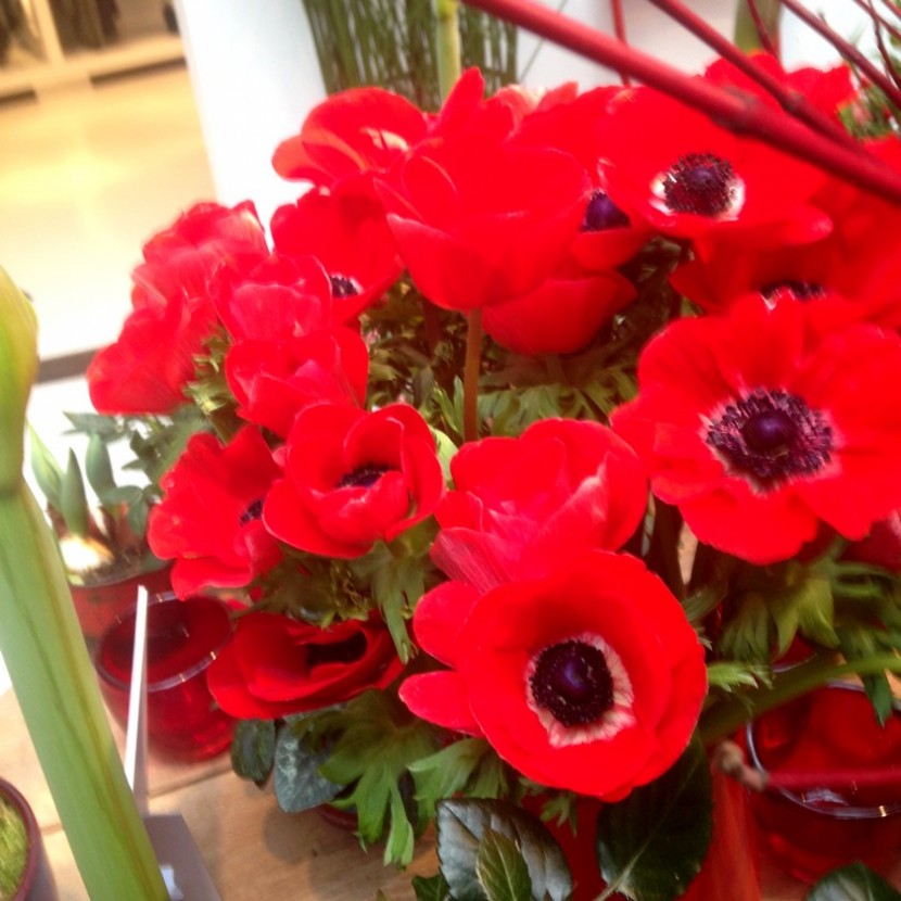 Blog mode melolimparfaite rouge tout rouge bouquet