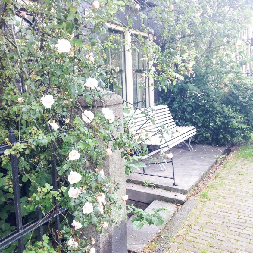 Week-end romantique à Amsterdam Blog voyage melolimparfaite  bancs