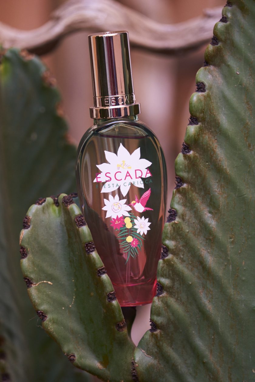 Sejour a tenerife avec escada fiesta carioca parfum cactus photoshoot blog mode